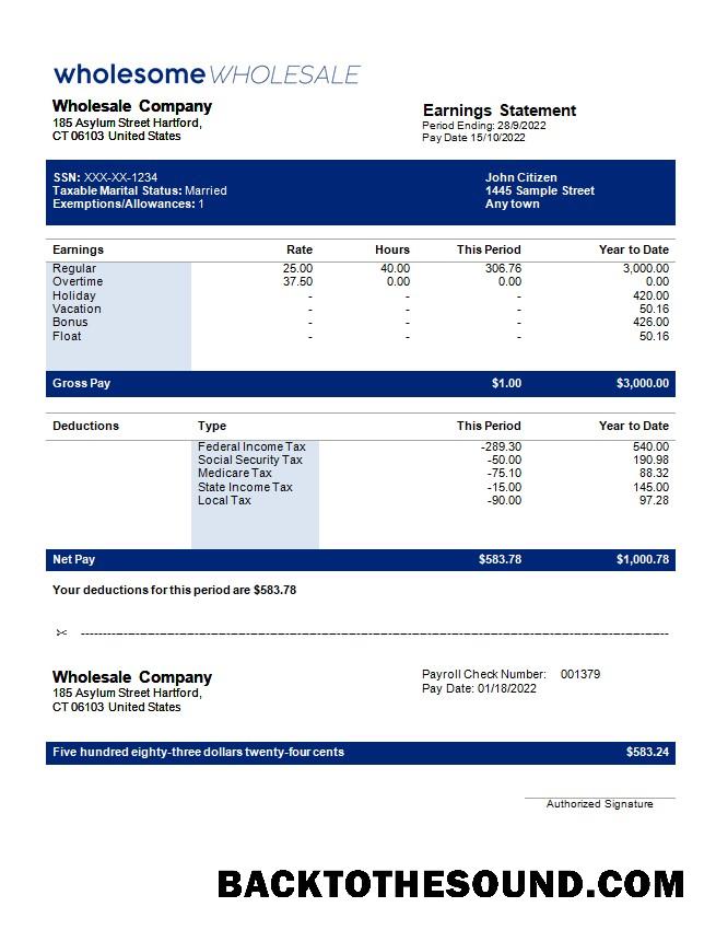 İndir wholesale Şirket payroll in Word and PDF Formatlar Örnek tasarım