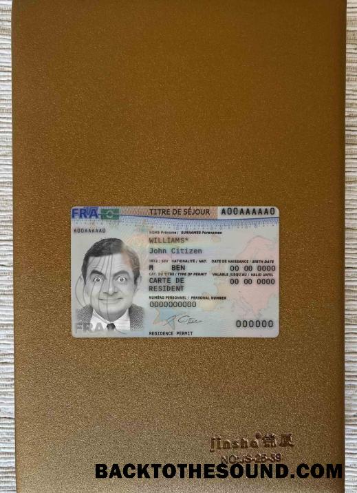 Scarica Francia Nuovo Residenza Carta 2019 Presente foto-look Fronte Campione modello