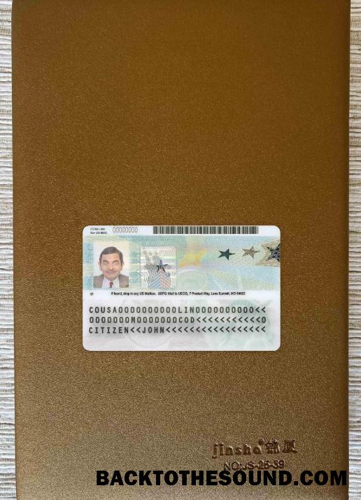Scarica USA verde Carta, permanente residente Carta 2020 – Presente foto-look Campione modello