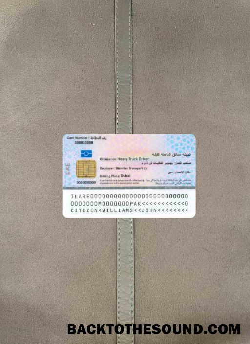 Scarica Emirati Arabi Uniti residente Identità Carta foto-look Retro Campione design