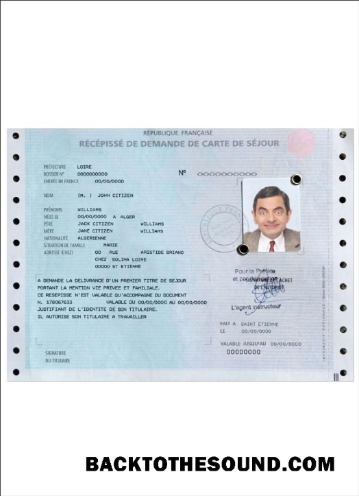 İndir French Oturma İzni (carte de séjour) Örnek tasarım