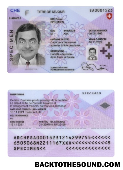 İndir İsviçre Oturma İzni Kart Örnek tasarım