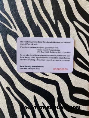 İndir ABD SSN foto-görünüm zebra arka plan Arka Örnek tasarım