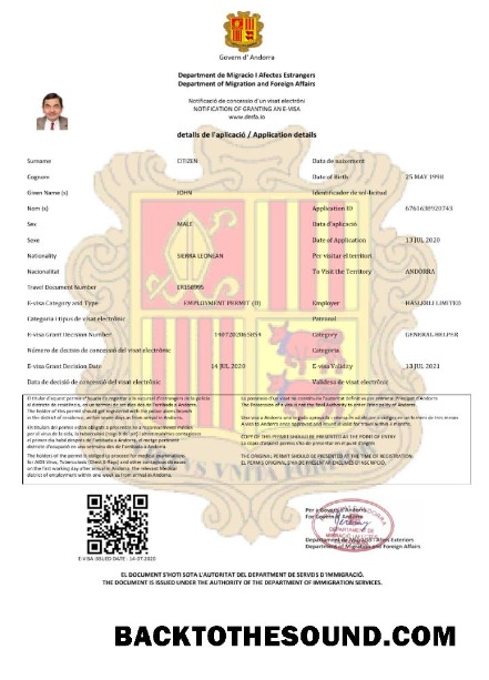 Pobierz Andora e Wiza in Word and PDF Próbka makieta