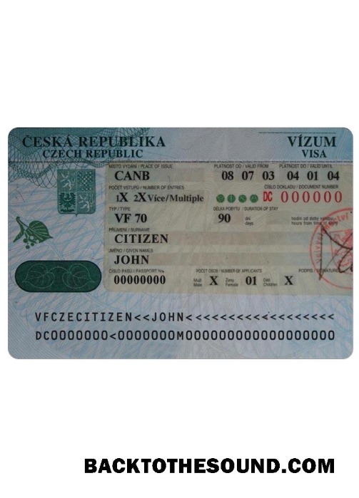 Pobierz czeski Wiza Próbka szablon