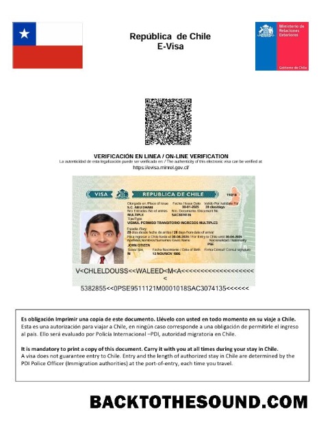 Pobierz Chile e Wiza in Word and PDF Formaty Próbka makieta