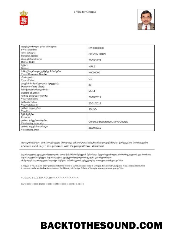 Pobierz Gruzja e Wiza in Word and PDF Próbka próbka
