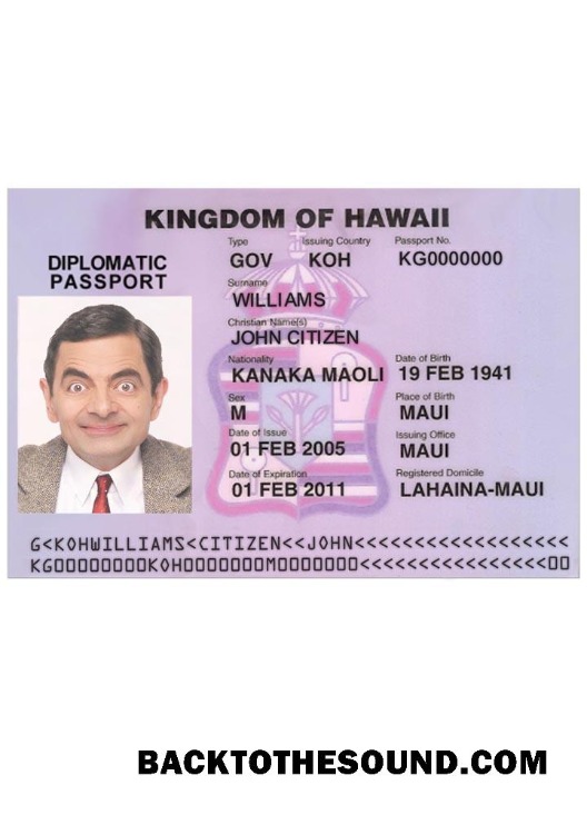 Pobierz HAWAII Wiza Próbka projekt