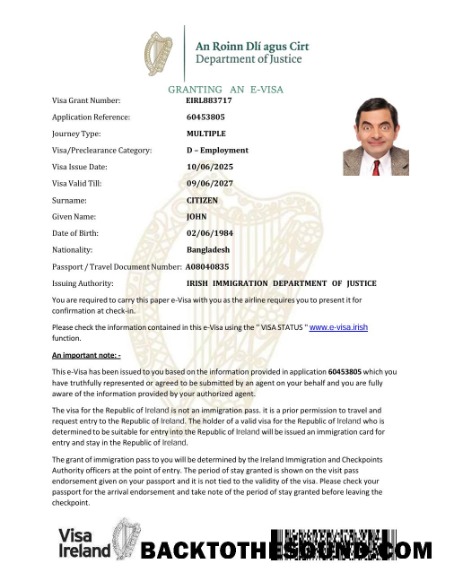 Pobierz Irlandia e Wiza in Word and PDF Formaty Próbka szablon