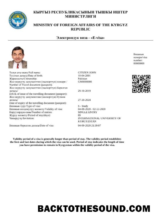 Pobierz Kyrgystan e Wiza in Word and PDF Próbka makieta