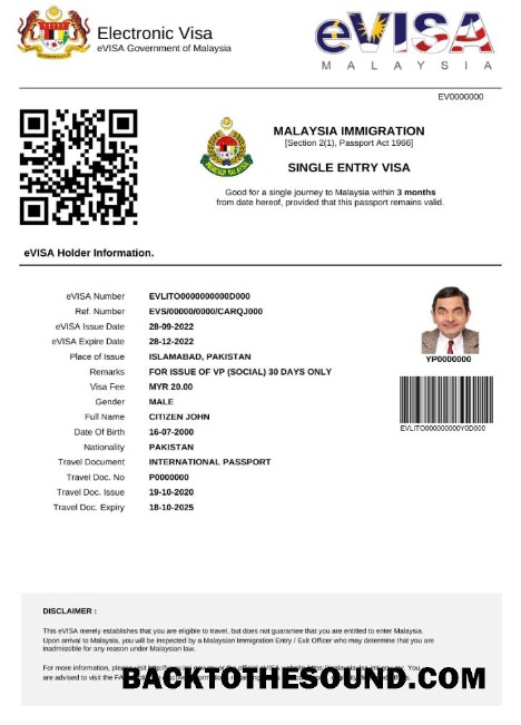 Pobierz Malezja e Wiza in Word and PDF Próbka próbka