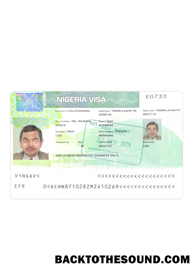 Pobierz Nigeria Wiza 2024 Obecny Próbka makieta