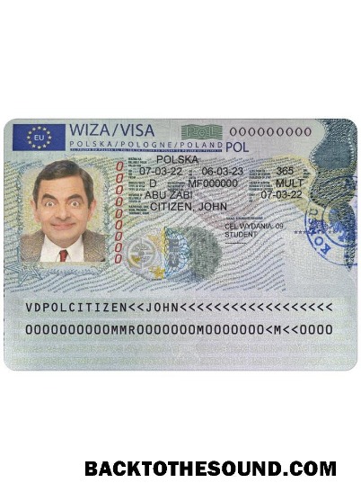 Pobierz Polska Wiza Próbka projekt