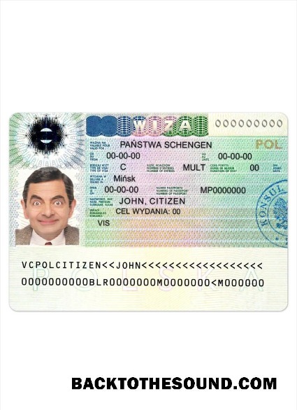 Pobierz Polska schengen Wiza Próbka projekt