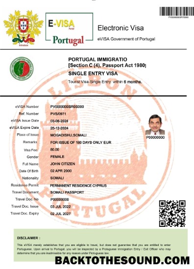 Pobierz Portugalia electronic Wiza Próbka szablon