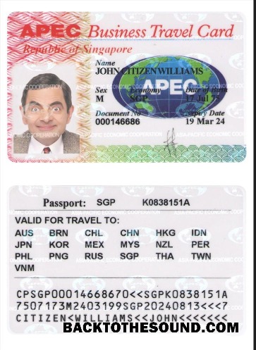 Pobierz Singapur Biznes Podróż Karta Próbka szablon