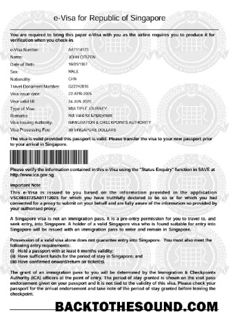 Pobierz Singapur e Wiza in Word and PDF Formaty Próbka projekt