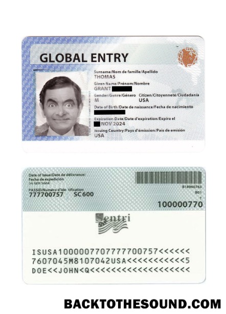 Pobierz USA Global wejście Karta Próbka projekt