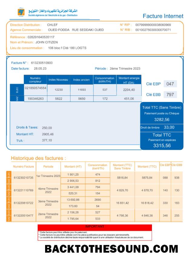 İndir Cezayir Societe Algerien Distribution internet Fatura Fatura Word and PDF Örnek tasarım