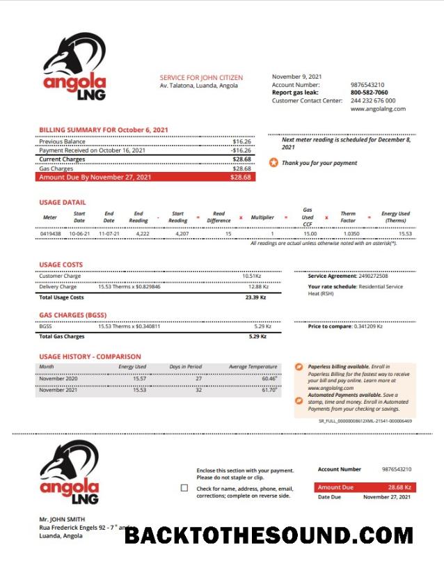 İndir Angola LNG proof of address Fatura Fatura in Word and PDF Format Örnek şablon