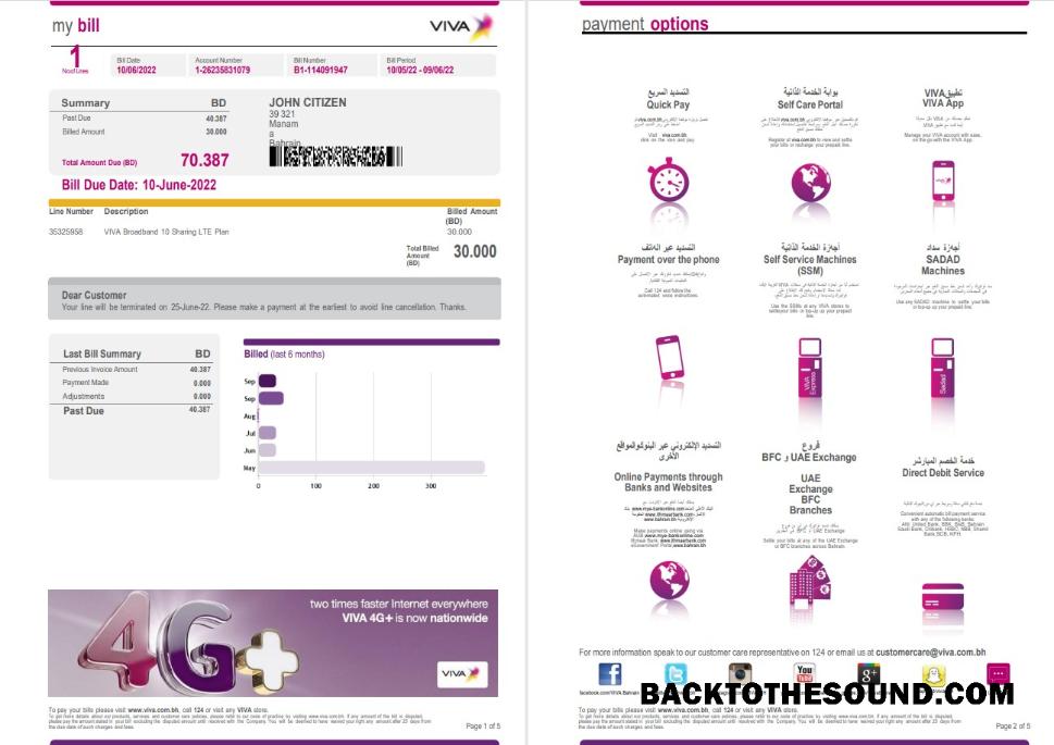 Premium İndir Bahreyn Viva my Fatura Fatura Word and PDF Şablon, 5 pages 1 2 Örnek