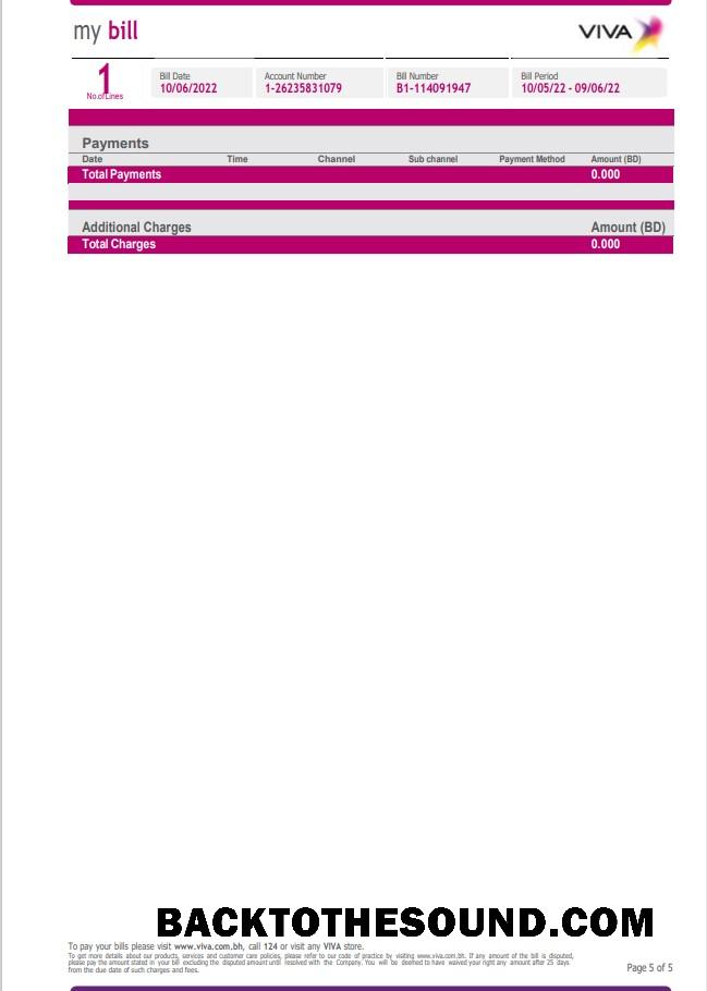 Gerçekçi İndir Bahreyn Viva my Fatura Fatura Word and PDF Şablon, 5 pages 5 Örnek