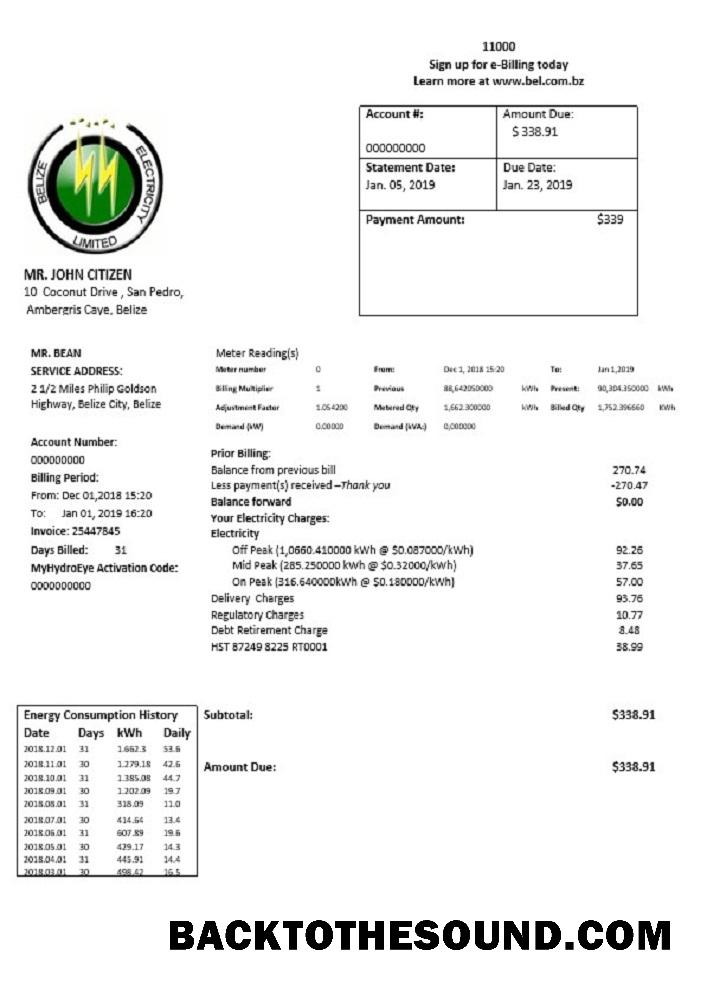 İndir Belize Elektrik Limited Elektrik Fatura Fatura in Word and PDF Format Örnek tasarım