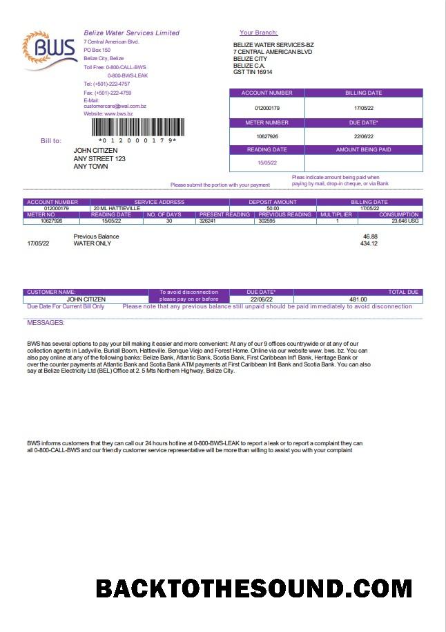 İndir Belize Su Services Limited Fatura Fatura in Word and PDF Format Örnek şablon