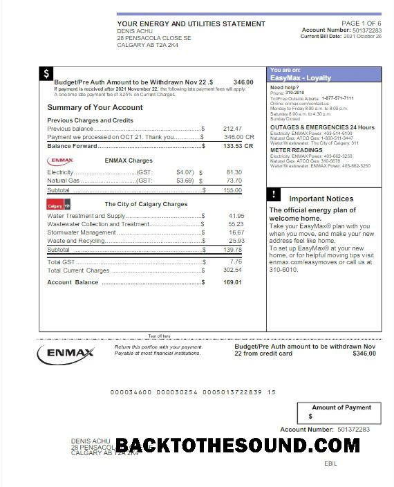 İndir Kanada ENMAX Fatura Fatura Word and PDF Örnek örnek