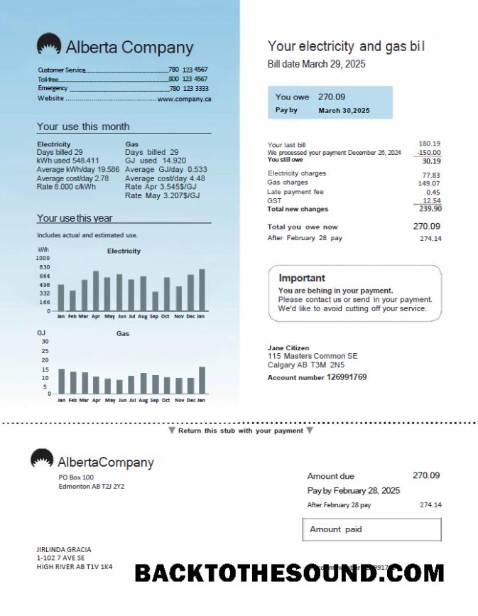 İndir Kanada Alberta Şirket Fatura Fatura in Word and PDF Formatlar Örnek tasarım