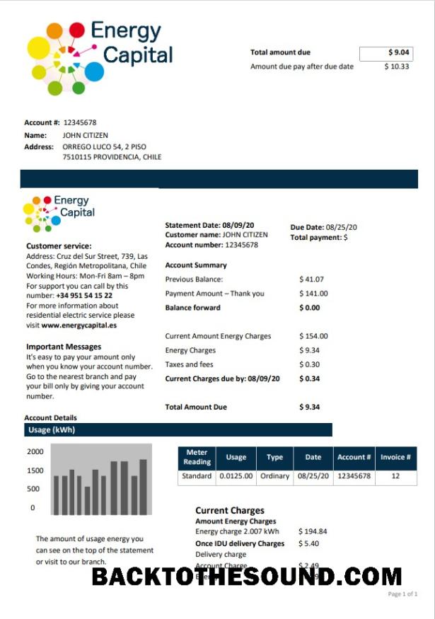 İndir Şili Energy Capital Fatura Fatura Örnek tasarım