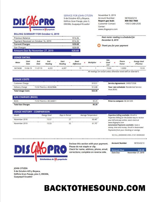 İndir Ekvador Disgaspro Gaz Fatura Fatura in Word and PDF Format Örnek taslak