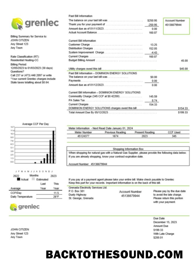 İndir Grenada Elektrik Services Fatura Fatura Word and PDF Örnek tasarım