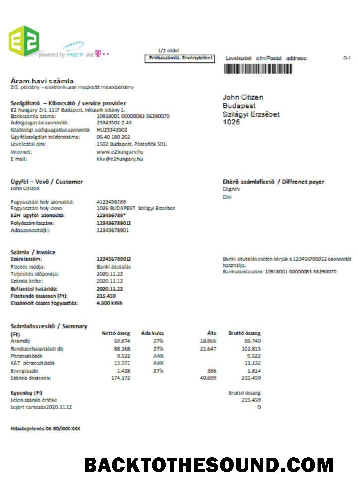 İndir Macaristan E2 Fatura Fatura Word and PDF Format Örnek taslak