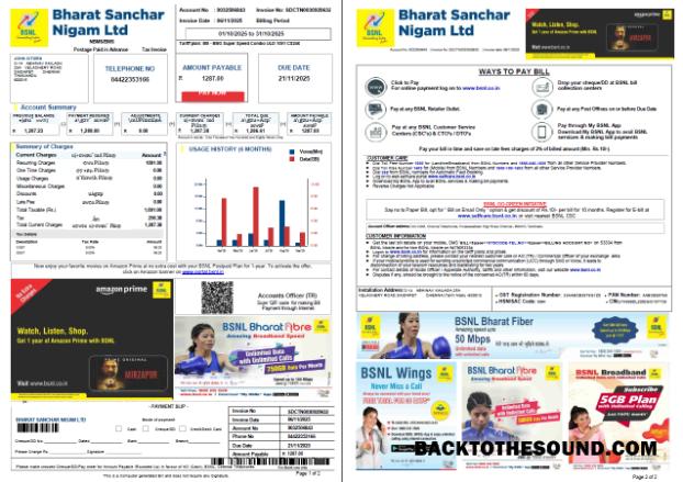 İndir Hindistan Bharat Sanchar Nigam Limited Fatura Fatura in Word and PDF Formatlar, 2 pages Örnek şablon