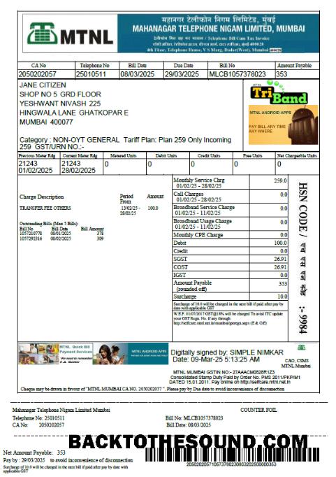 İndir Hindistan Mahanagar Telephone Nigam Limited Fatura Fatura in Word and PDF Formatlar Örnek örnek