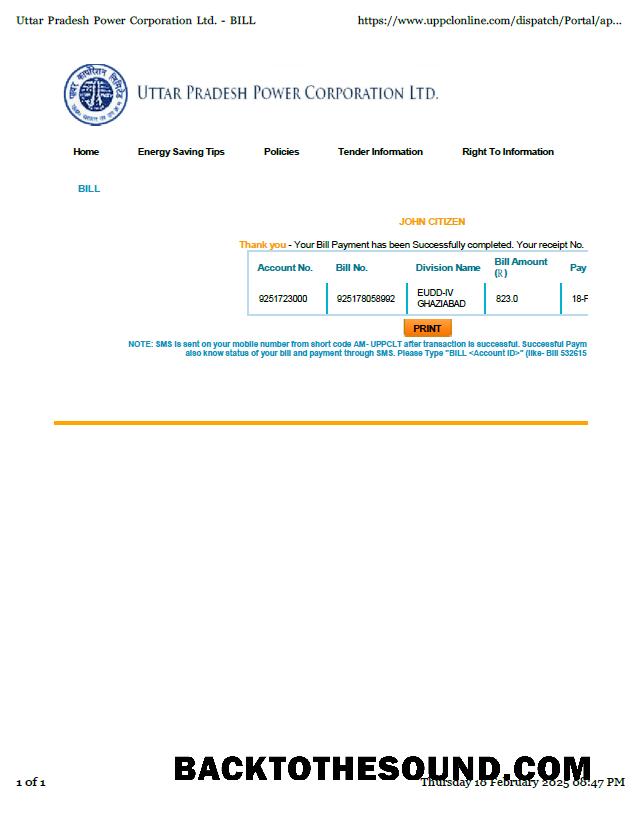 İndir Hindistan Uttar Pradesh Power Corporation Limited Fatura Fatura in Word and PDF Formatlar Örnek tasarım