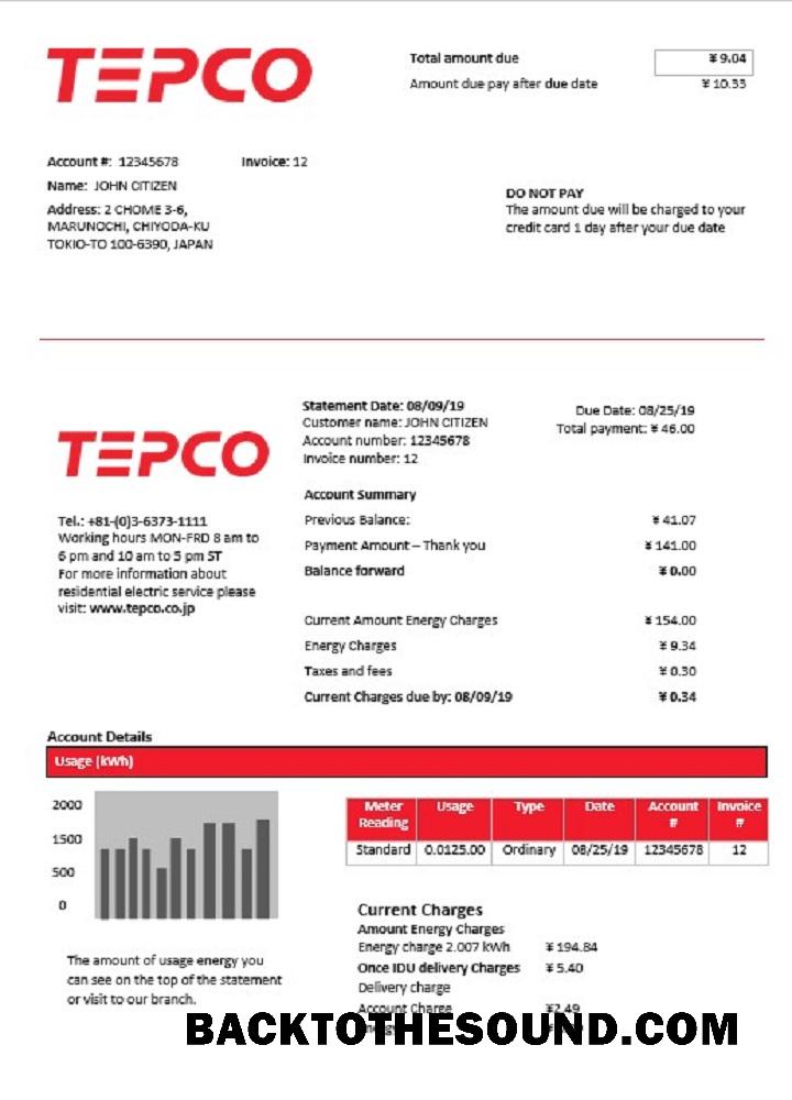 İndir Japonya Tokyo Electric Power Şirket Elektrik Fatura Fatura in Word and PDF Format Örnek tasarım