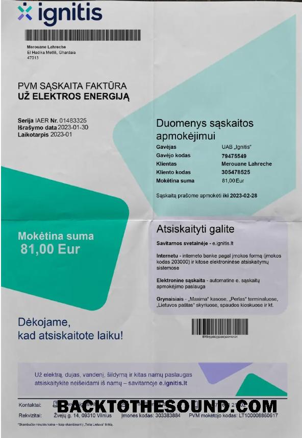 İndir LITVA IGNITIS Fatura Fatura Word and PDF Örnek şablon