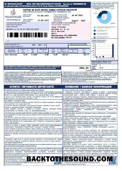 İndir Moldova Moldovagaz Fatura Fatura in Word and PDF Formatlar Örnek şablon