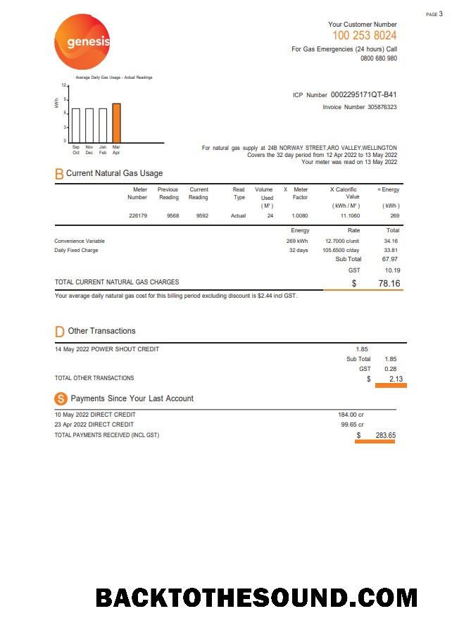 İndir Yeni Zelanda Genesis Gaz Fatura Fatura in Word and PDF Format, 3 pages 2 Örnek ön izleme