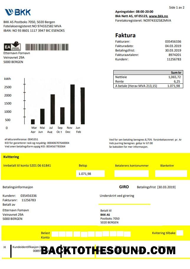 İndir Norveç BKK Elektrik Fatura Fatura in Word and PDF Format, good for address prove Örnek ön izleme