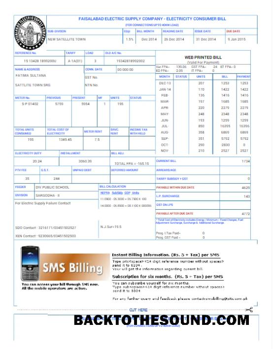 İndir Pakistan FAISALABAD Fatura Fatura Word and PDF Örnek tasarım
