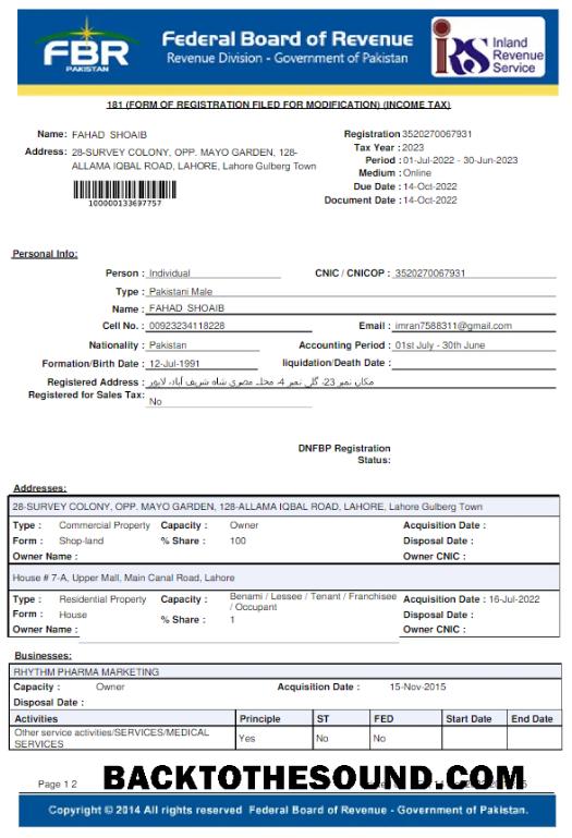 İndir Pakistan FBR Fatura Fatura Word and PDF Örnek ön izleme