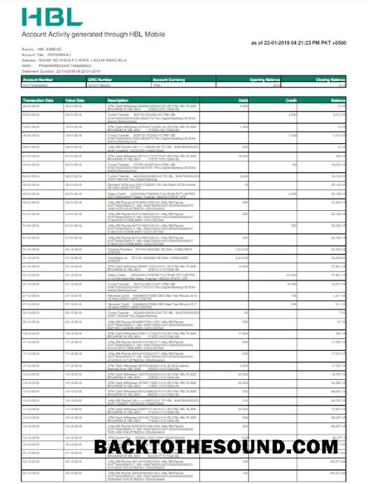 İndir Pakistan HBL Fatura Fatura Word and PDF Örnek tasarım