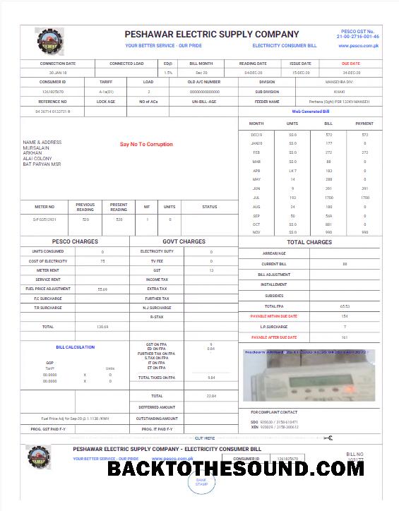 İndir Pakistan PESHAWAR ELECTRIC SUPPLY Şirket Fatura Fatura Word and PDF Örnek ön izleme