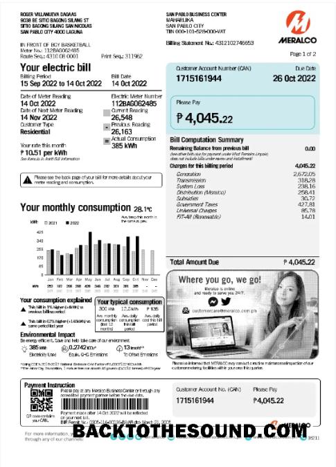 İndir Filipinler MERALCO Fatura Fatura Word and PDF Örnek şablon
