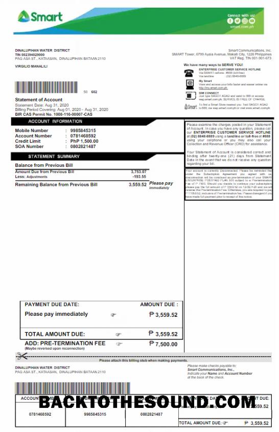 İndir Filipinler SMART Fatura Fatura Word and PDF Örnek ön izleme