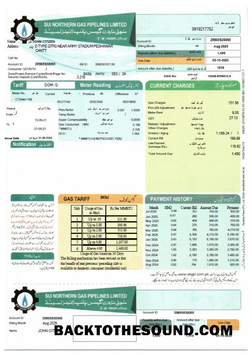İndir Pakistan Sui Northern Gaz Pipelines Limited Fatura Fatura in Word and PDF Formatlar Örnek şablon