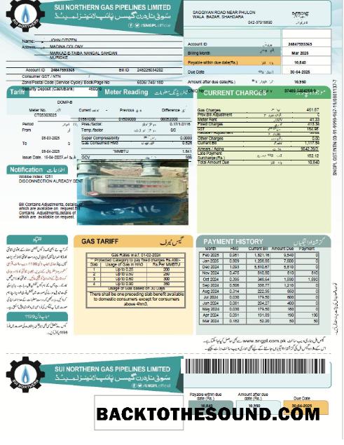 İndir Pakistan Sui Northern Gaz Pipelines Limited Fatura Fatura in Word and PDF Formatlar, Sürüm 2 Örnek örnek